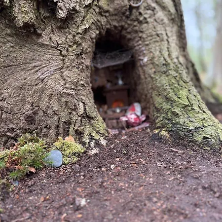 Cozy Hobbit Cave - Simple & Surrounded By Greenery Stade